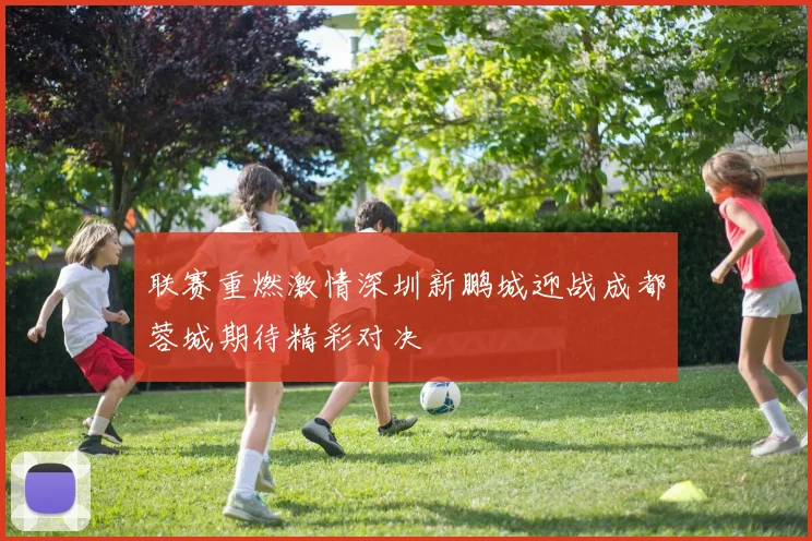 联赛重燃激情深圳新鹏城迎战成都蓉城期待精彩对决