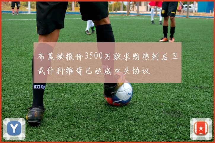 布莱顿报价3500万欧求购热刺后卫武什科维奇已达成口头协议